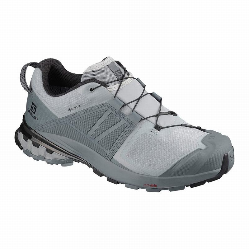 Buty Do Biegania W Terenie Męskie Salomon XA WILD GORE-TEX - Szare - Polska (048-VRAETU)